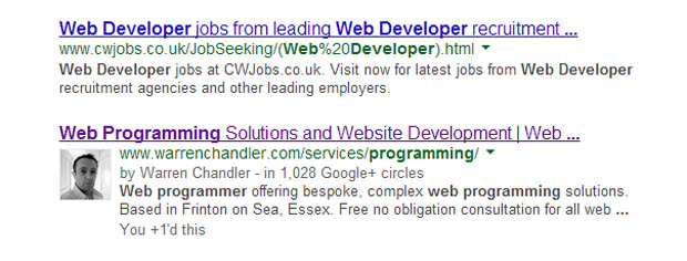 web-programmer-search-results